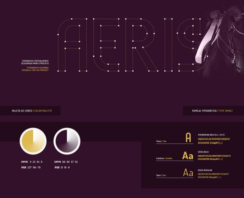 aeris 商業會計咨詢公司logo設計,馬首 國際象棋元素