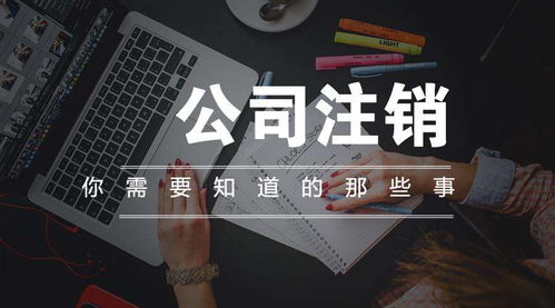 專業(yè)的吊銷轉(zhuǎn)注銷怎樣收費(fèi),注銷一人公司沒有資料了怎么辦