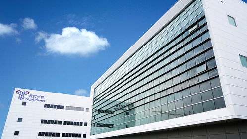 2019上海區(qū)域經(jīng)濟觀察 新舊動能轉(zhuǎn)換關鍵期,新興產(chǎn)業(yè)步入 起飛通道